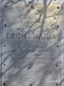Lech i Maria Kaczyński drzewa pamięci Sokołów Podlaski.